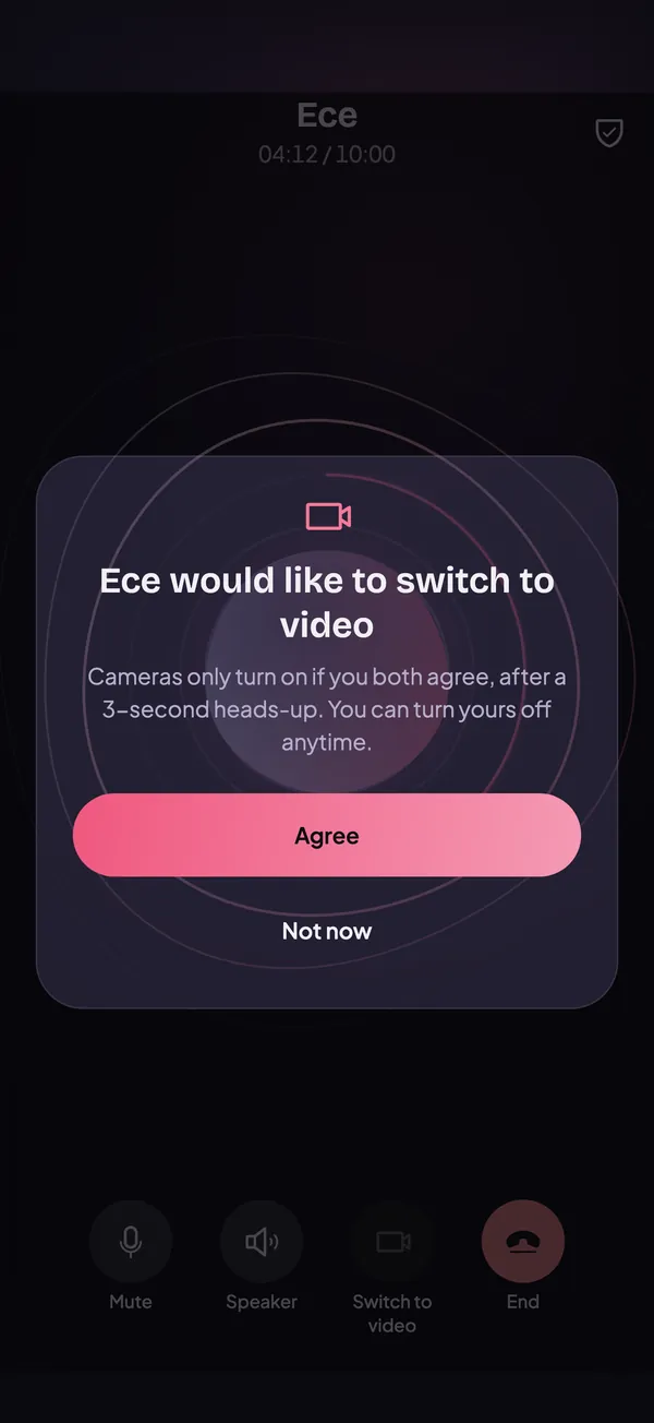 A voice call with a request to switch to video and a confirm button